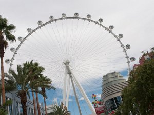 The High Roller (Aug 15)