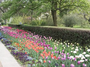 Brooklyn Botanical Gardens