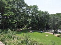 DSC_1404 The Cloisters Fort Tryon Park