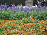 DSC_1519 Flower Garden Grand Army Plaza