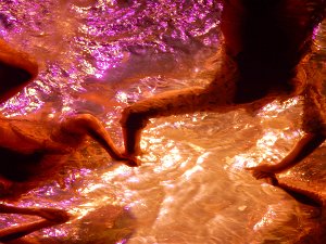 Fuerza Bruta (26 Aug 16)