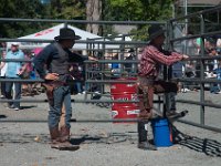 DSC_3111 Rodeo in Tappan, NY (25 September 2016)