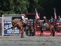 DSC_3124 Rodeo in Tappan, NY (25 September 2016)