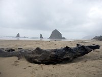 DSC_0002 A visit to Cannon Beach, OR (15 November 2013)