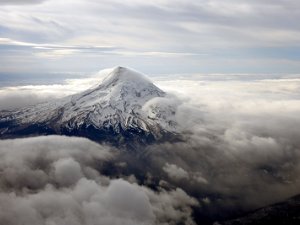 Flight to Portland