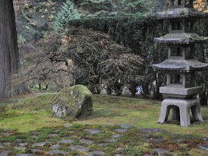 Japanese Garden