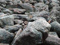 C360_2013-04-13-13-32-54-233 Boulder Field at Hickory Run State Park, The Poconos -- 13 April 2013