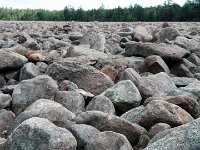 C360_2013-04-13-13-33-05-749 Boulder Field at Hickory Run State Park, The Poconos -- 13 April 2013