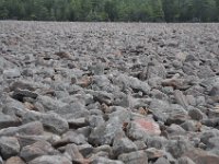 DSC_5799 Boulder Field at Hickory Run State Park, The Poconos -- 13 April 2013