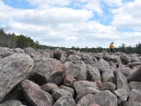 DSC_5802 Boulder Field at Hickory Run State Park, The Poconos -- 13 April 2013