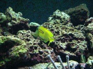 Seattle Aquarium