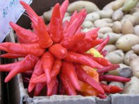 DSCN0838 Peppers at Pike Place Market (27 Sep 09)