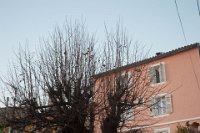 DSC_5243.jpg