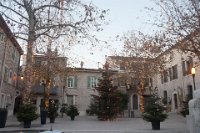 DSC_5250.jpg