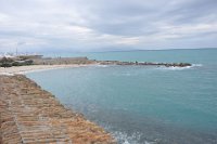 DSC_4120.JPG