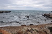 DSC_4131.JPG