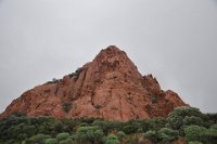 DSC_2689.JPG