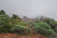 DSC_2691.JPG