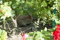 DSC_1142.jpg
