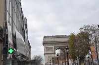 DSC_1550.JPG