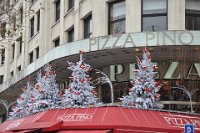 DSC_1566.JPG