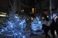 DSC_2244.JPG