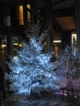 DSC_2250.JPG