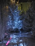 DSC_2253.JPG