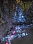 DSC_2254.JPG