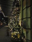 DSC_2276.JPG