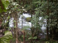 DSC_0260 Hike in Mindo Rainforest (Mindo Rainforest, Ecuador) - 29 December 2015