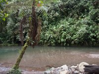 DSC_0264 Hike in Mindo Rainforest (Mindo Rainforest, Ecuador) - 29 December 2015
