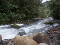 DSC_0268 Hike in Mindo Rainforest (Mindo Rainforest, Ecuador) - 29 December 2015