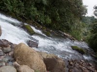 DSC_0269 Hike in Mindo Rainforest (Mindo Rainforest, Ecuador) - 29 December 2015