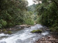 DSC_0270 Hike in Mindo Rainforest (Mindo Rainforest, Ecuador) - 29 December 2015