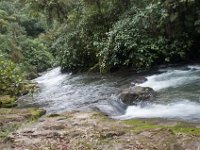 DSC_0273 Hike in Mindo Rainforest (Mindo Rainforest, Ecuador) - 29 December 2015