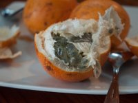 DSC_0204 Granadilla fruit -- Lunch in Mindo (Mindo, Ecuador) - 29 December 2015