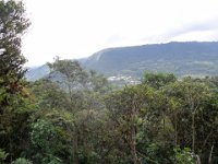 SAM_0234 Mindo Canopy Adventure -- Zipline in the Mindo Rain Forest (Mindo Rain Forest, Ecuador) - 29 December 2015