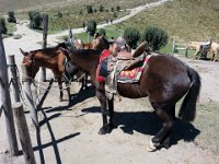 20151230_113324 Pichincha Volcano (Quito, Ecuador) - 30 December 2015