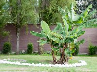 DSC_9891 The grounds -- Mountain Views Inn (Tumbaco, Ecuador) - 26 December 2015 - 2 January 2016