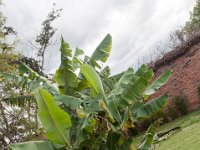 DSC_9896 The grounds -- Mountain Views Inn (Tumbaco, Ecuador) - 26 December 2015 - 2 January 2016