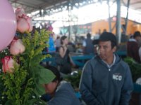 DSC_9933 Tumbaco Farmer's Market (Tumbaco, Ecuador) - 27 December 2015