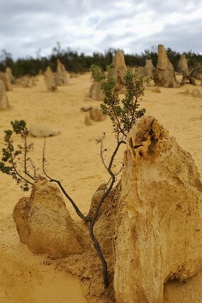 20240721_120834 null