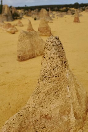 20240721_121404 null