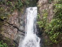 DSC 5569
