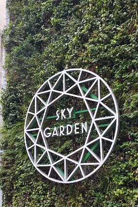 20260220_131233 null