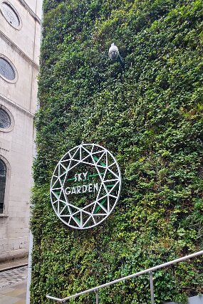 20260220_131235 null