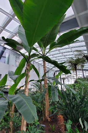 20260220_141354 null