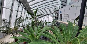 20260220_141515 null