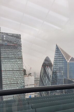 20260220_141606 null